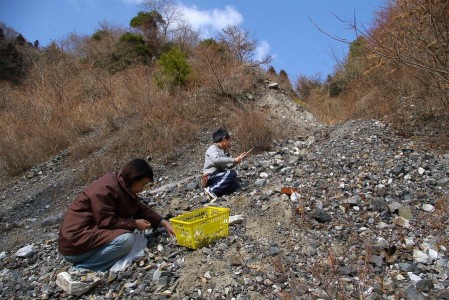 2009_02_08kouzan003 藤ヶ谷鉱山のズリ跡