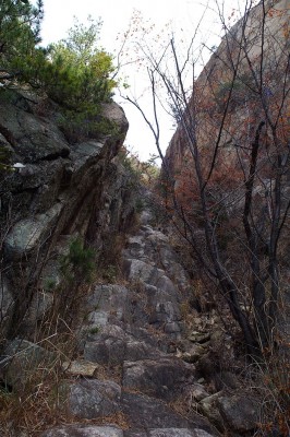 11：10　ナメラ滝をよじ登ります