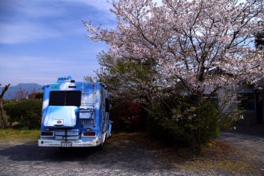 駐車場には桜が咲いていた
