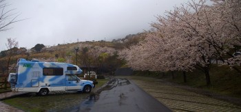 桜の神話の里公園