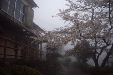 南州館の通路ですが霧で霞んでいます