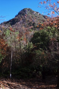 登山道から見た岩谷観音