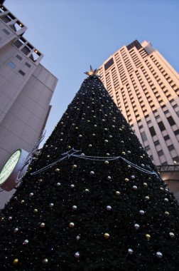 街のクリスマスツリー
