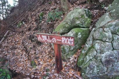 立派な標識があるが､普通の岩