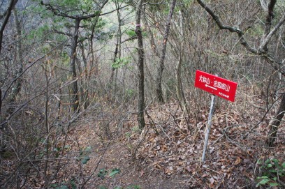 忠四郎、大鉢山への登山道の標識の沿って下る
