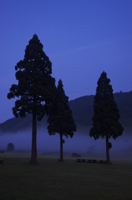 大山の鏡ヶ成で夜霧が高原を覆う
