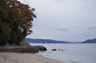 海岸は秋の終わりを惜しむような紅葉