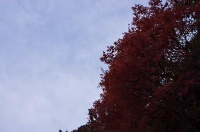 雲の空と木々の紅葉