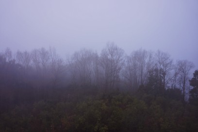 庄原は濃い霧の海でした