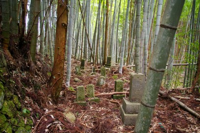 竹で墓所がぐらぐらに