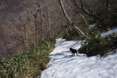 11:35　登山道には残雪が多く残っている