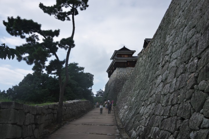 久しぶりの松山城　大きな城ですね