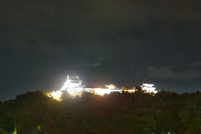 ライトアップされた和歌山城