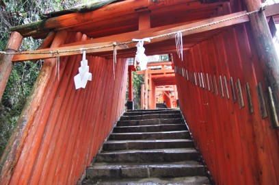 15：48　太鼓谷稲荷神社の鳥居の参道を登る