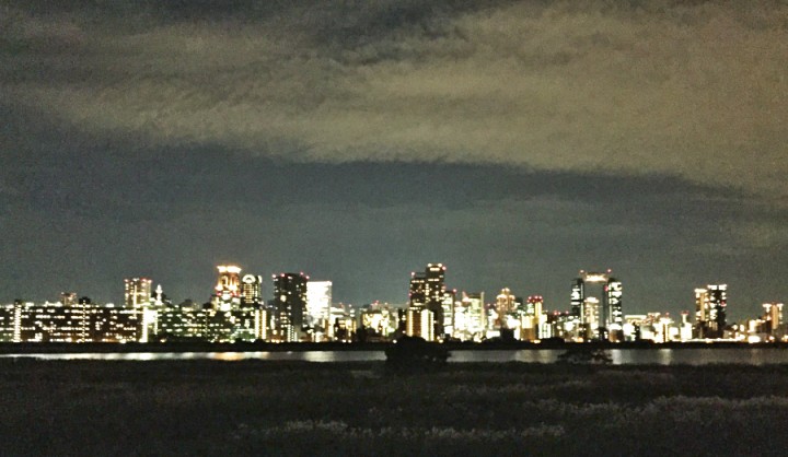 ナイトウォークで淀川の土手を歩く　対岸には大阪の灯が明るい